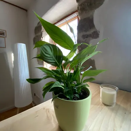 Modernes In Historischem Gebaeude Διαμέρισμα