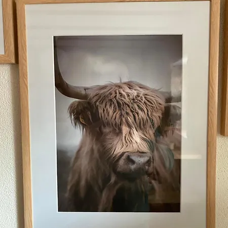 Modernes In Historischem Gebaeude Appartamento